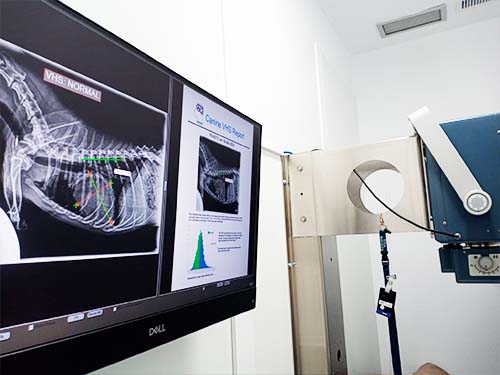 Centro Veterinario Espronceda Madrid